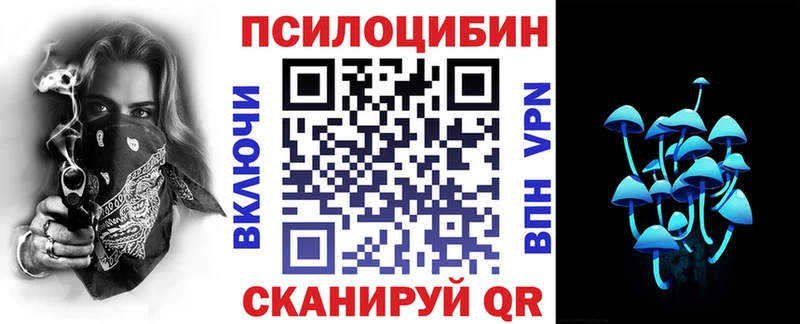 Псилоцибиновые грибы Psilocybe  наркотики  Отрадный 